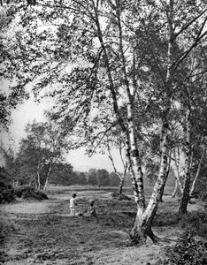 Putney Heath, Londen, 1926-1927 door McLeish