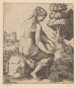 Venus en de roos door Meester van de Dobbelsteen