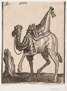 Een opgezadelde dromedaris, profiel naar links, met de kop van het dier afgewend van de kijker door Melchior Lorck