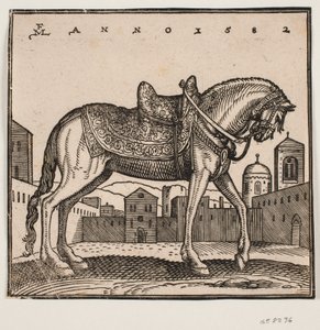 Elegante opgezadelde paard, profiel naar rechts, op een rechthoekig plein