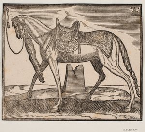 Elegante opgezadelde paard, vastgebonden aan de linker kaderlijn, profiel naar links; onder de buik van het paard is een ruïne te zien
