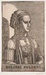Portret van een sultane, halve profiel naar rechts: ZELOME SVLTANE