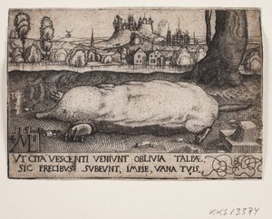 De mol door Melchior Lorck