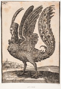 Ongeïdentificeerd mythisch dier, harpij of sirene