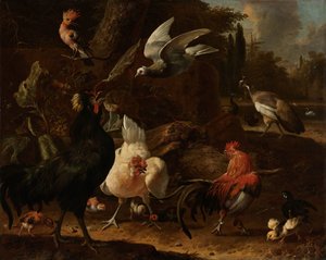 Vogels in een park