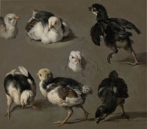 Zeven kuikens