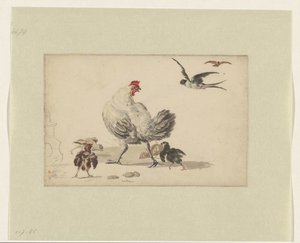 Twee zwaluwen en een hen met vier kuikens
