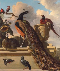 Vogels in het park door Melchior de Hondecoeter