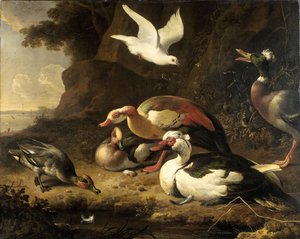  door Melchior de Hondecoeter