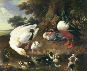 Boerderijeenden door Melchior de Hondecoeter