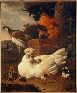 M. de Hondecoeter, Hen met kuikens