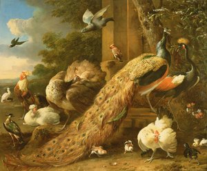 Pauw, parkiet, pelikaan, kraanvogel en pluimvee door Melchior de Hondecoeter
