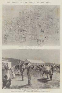 De Transvaal Oorlog, Scènes aan het Front