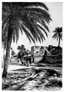Een straat in Biskra, Algerije, 1895