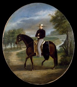 Don Manuel Romero de Terreros Villamil