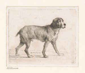 Hond door Michał Płoński