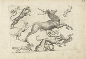 Studieblad met tekenvoorbeelden: diverse dieren door Michael Snijders (attributed to)