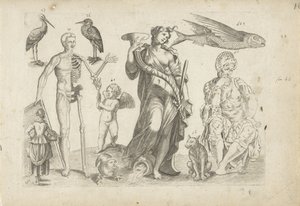 Studieblad met tekenvoorbeelden: dieren en diverse figuren door Michael Snijders