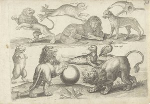Studieblad met tekenvoorbeelden: diverse dieren door Michael Snijders