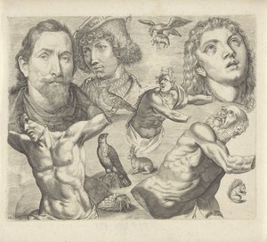 Studieblad met tekenvoorbeelden: koppen, torso en dieren