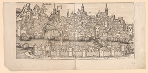 Neurenberg Kroniek: Topografisch Uitzicht op Bazel, Zwitserland door Michael Wolgemut