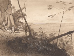 Cedar Point, Mount Tamana door Michel Jean Cazabon