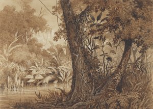 Aan de Cimaronero Rivier door Michel Jean Cazabon