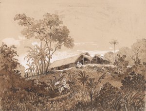 De Cottage, Mount Tamana door Michel Jean Cazabon