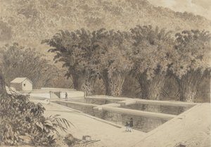 Het reservoir bij Maraval door Michel Jean Cazabon