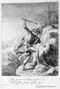 Alcyone en Ceyx veranderd in vogels, 1655