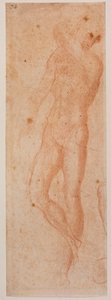 Studies van mannelijk naakt door Michelangelo (after) Buonarroti