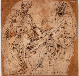 Studies van naakten