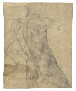 Een Mannelijk Naakt van Achteren Gezien door Michelangelo Buonarroti