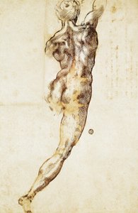 Een mannelijk naakt van achteren gezien, studie voor de Slag bij Cascina, door Michelangelo, tekening