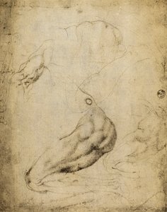 Anatomische studie door Michelangelo Buonarroti