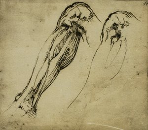 Anatomische studies van een been door Michelangelo Buonarroti