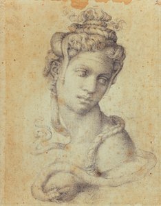 Cleopatra door Michelangelo Buonarroti