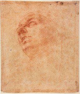 Hoofdstudie voor de Sixtijnse Jona door Michelangelo Buonarroti