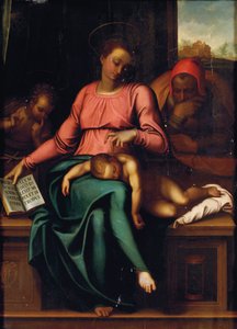 Madonna del Silenzio door Michelangelo Buonarroti