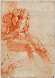 Zittende jonge mannelijke naakt en twee armstudies, ca. 1510-1511 door Michelangelo Buonarroti