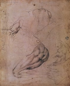 Sixtijnse Kapel Plafond (1508-12): schetsen van de figuur van Eva uit de scène van De Oerzonde