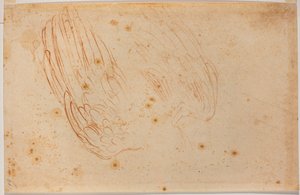 Schets van een adelaar door Michelangelo Buonarroti