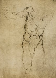 Studie voor een mannelijke buste door Michelangelo Buonarroti