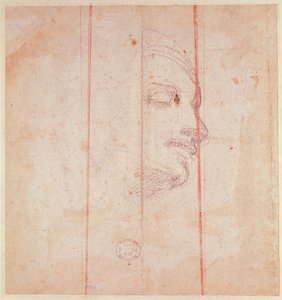Studie voor het hoofd van de Libische Sibylle door Michelangelo Buonarroti