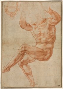 Studie voor de Naakte Jongeling boven de Profeet Daniël (recto) door Michelangelo Buonarroti