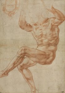 Studie voor de naakte jongeling boven de profeet Daniël, voor het plafond van de Sixtijnse Kapel, 1510-11