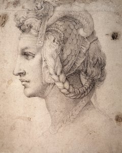 Studie van hoofd door Michelangelo Buonarroti