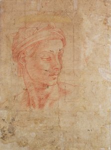 Studie van een Hoofd door Michelangelo Buonarroti