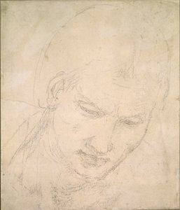 Studie van een hoofd, c1490-1560