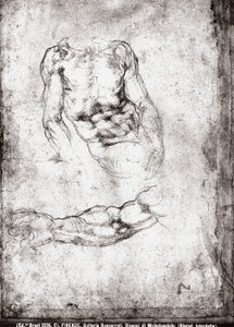 Studie van een mannelijk torso en arm door Michelangelo Buonarroti